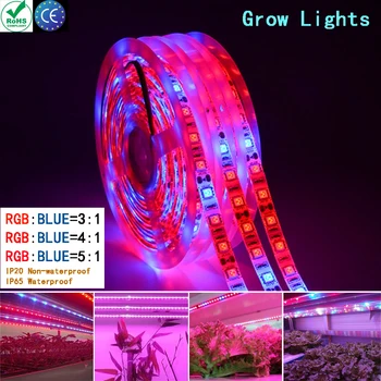 Свет для Комнатных Растений Светодиодная Лента 5050 LED Grow Light Светодиодная Лампа Phytolamp Лента Овощи Цветок Фитолент для Семян Растений EU US Plug Изображение